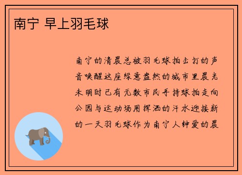 南宁 早上羽毛球