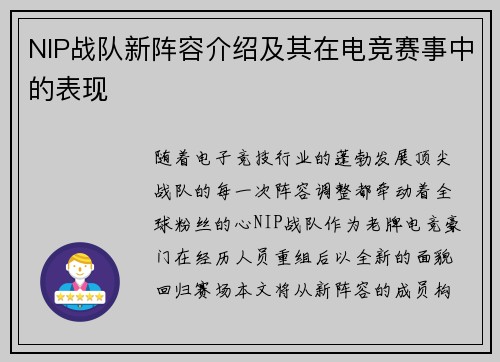 NIP战队新阵容介绍及其在电竞赛事中的表现